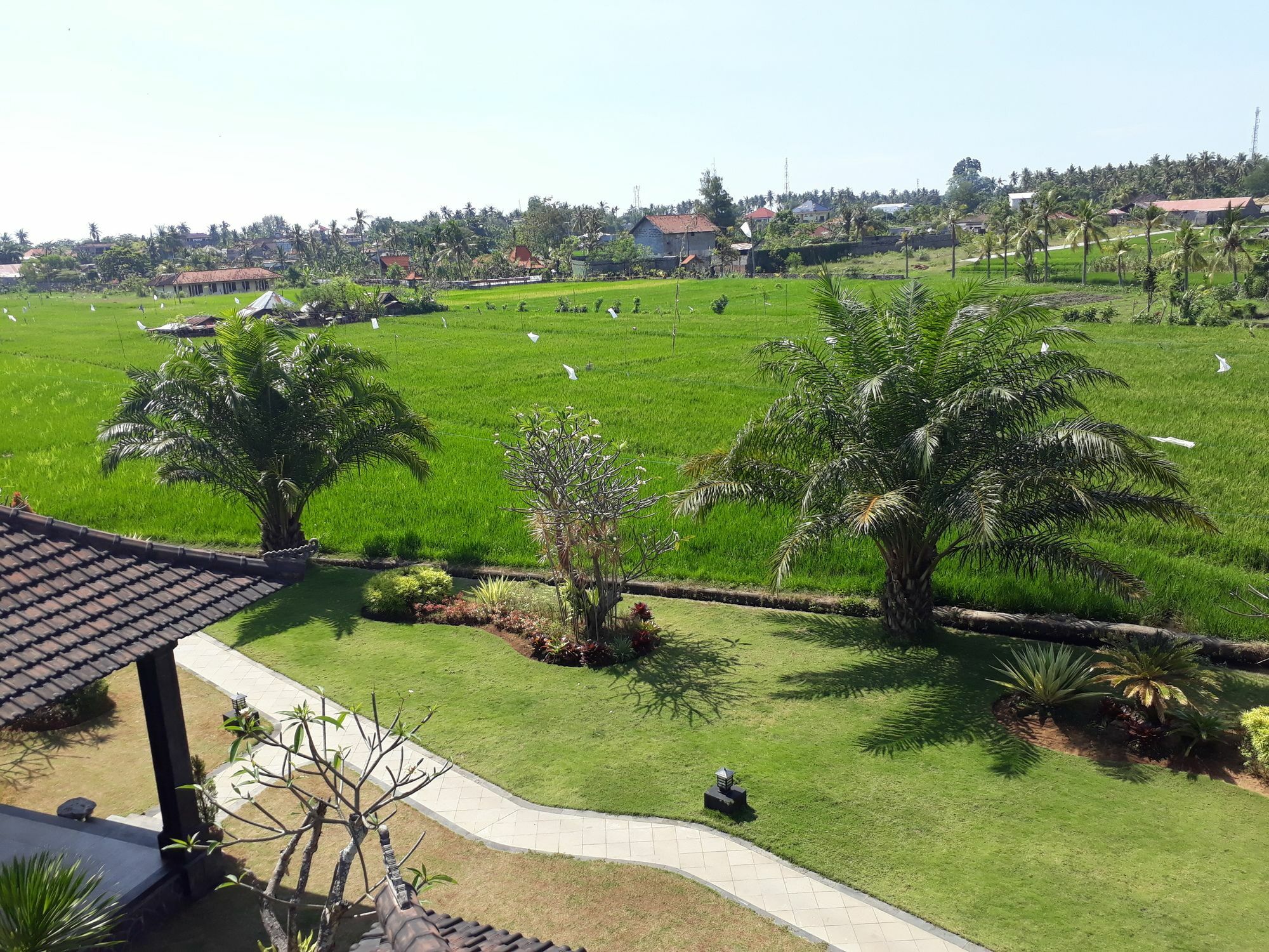 Pandawa Village Lovina Dış mekan fotoğraf